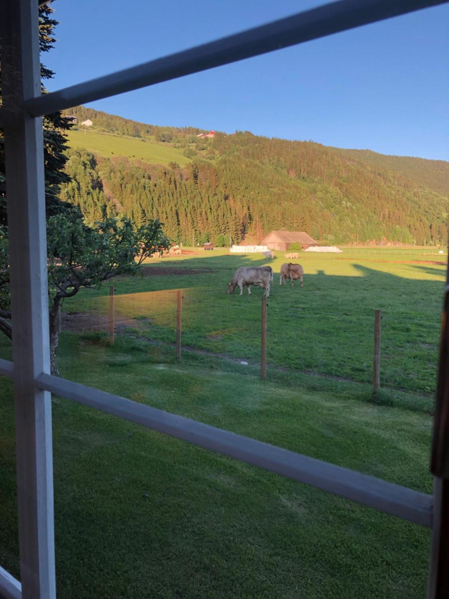Villa Soltun Ringebu Eksteriør bilde